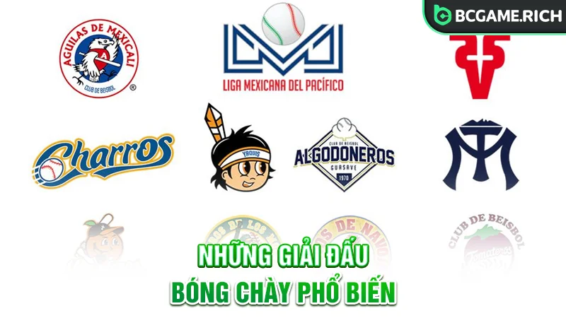 Những giải đấu bóng chày có mặt tại BCGAME