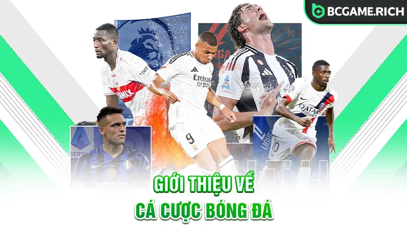 Giới thiệu về bộ môn cá cược bóng đá