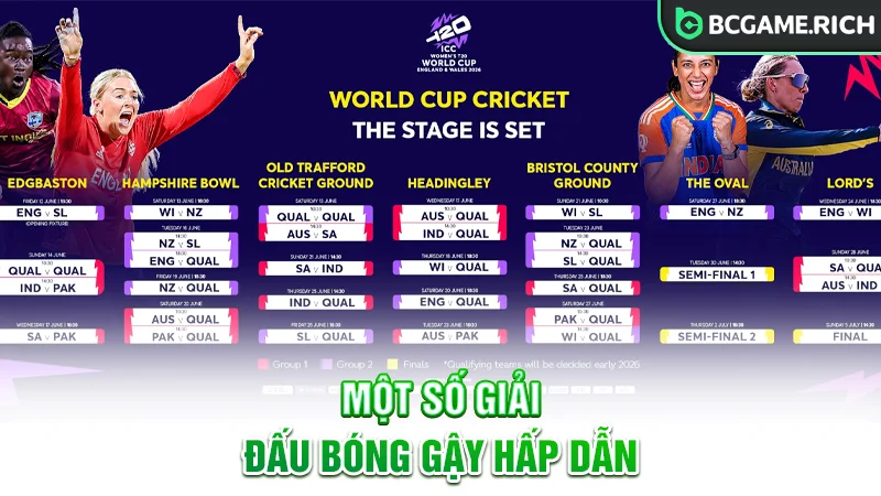 Một số giải đấu bóng gậy hấp dẫn nên biết