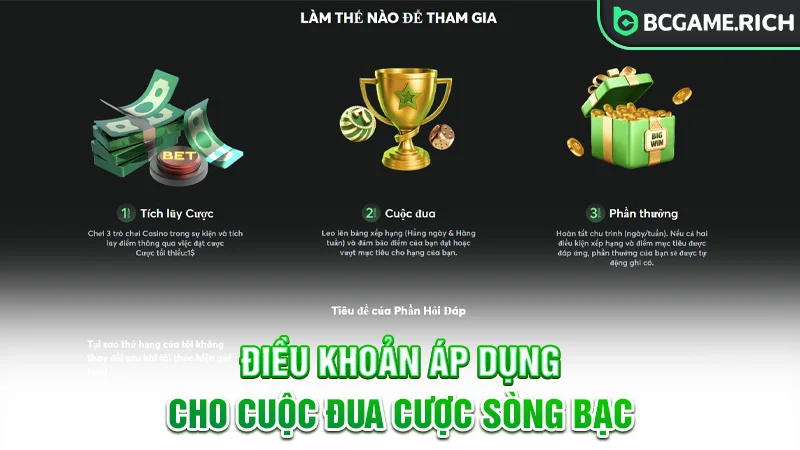Thông tin chung về điều khoản Cuộc Đua Cược Sòng Bạc