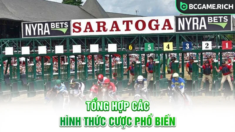 Tổng hợp các hình thức cược phổ biến trong đua ngựa