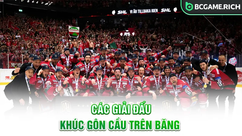 Các giải đấu khúc gôn cầu trên băng khá đa dạng