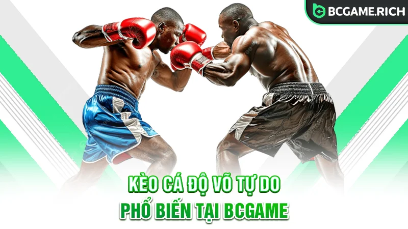 Những kèo cá độ võ tự do thường gặp tại nhà cái BCGAME