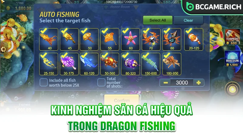 Nâng cao cơ hội thắng với các kinh nghiệm săn cá