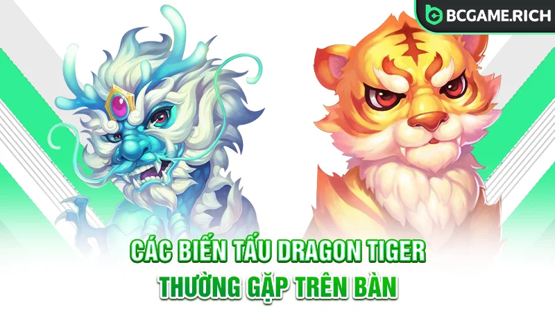 Các biến tấu Rồng Hổ thường gặp trên bàn