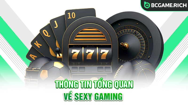 Thông tin tổng quan về nhà cung cấp Sexy Gaming