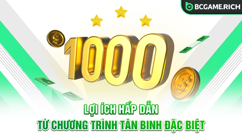 Lợi ích từ chương trình tân binh mang lại