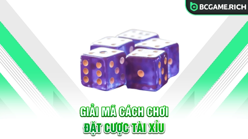 Giải mã cách chơi và đặt cược tại tài xỉu online