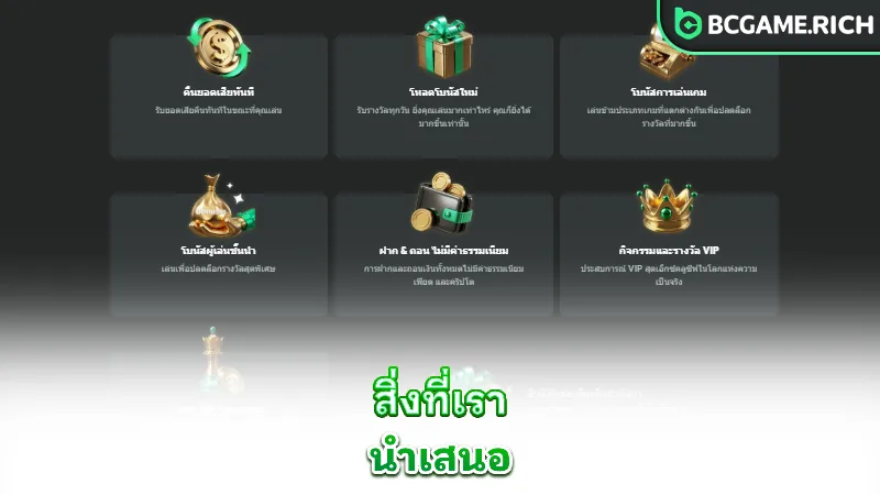 about-us-what-we-offer