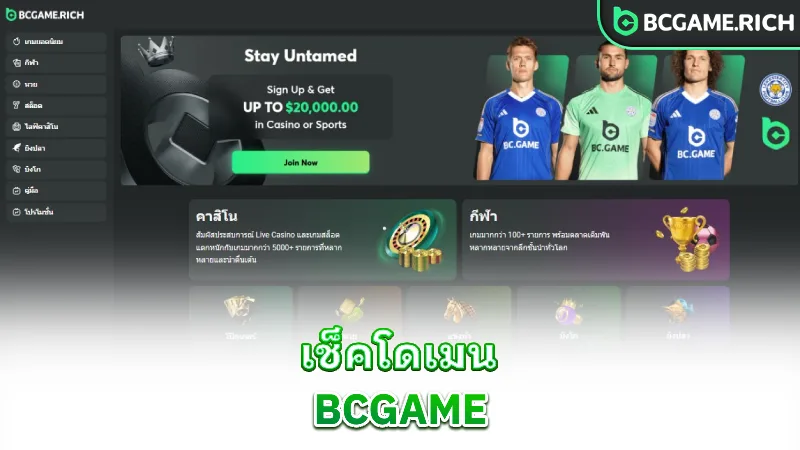 bcgame-official-domain-license