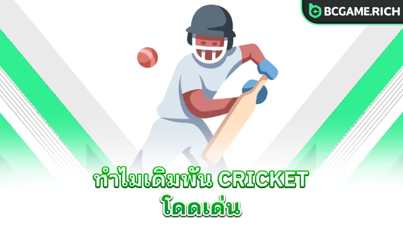 cricket-why-bcgame-stands-out