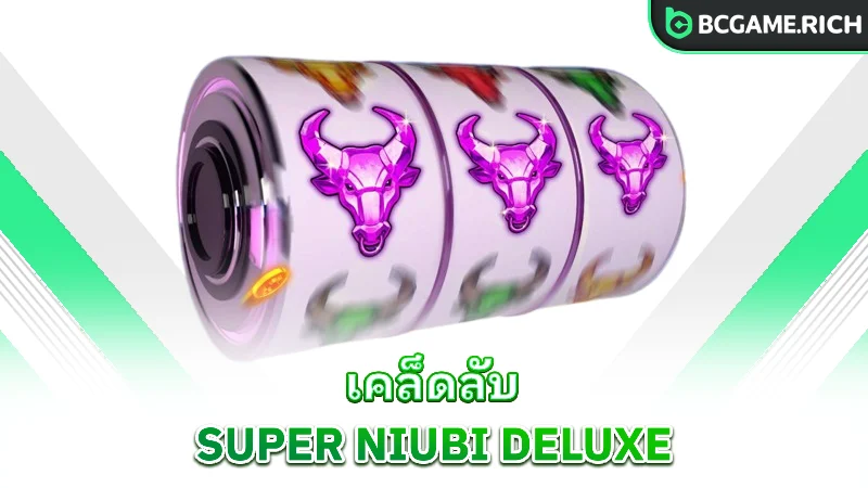 super-niubi-deluxe-tips