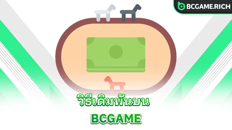 horse-racing-how-to-bet-on-bcgame